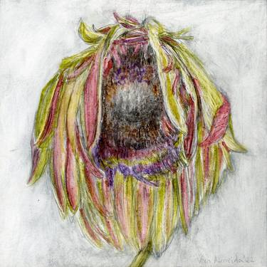 Sunflower, portrait in pink and green thumb
