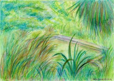 Original Contemporary Garden Drawing by Vera Almeida