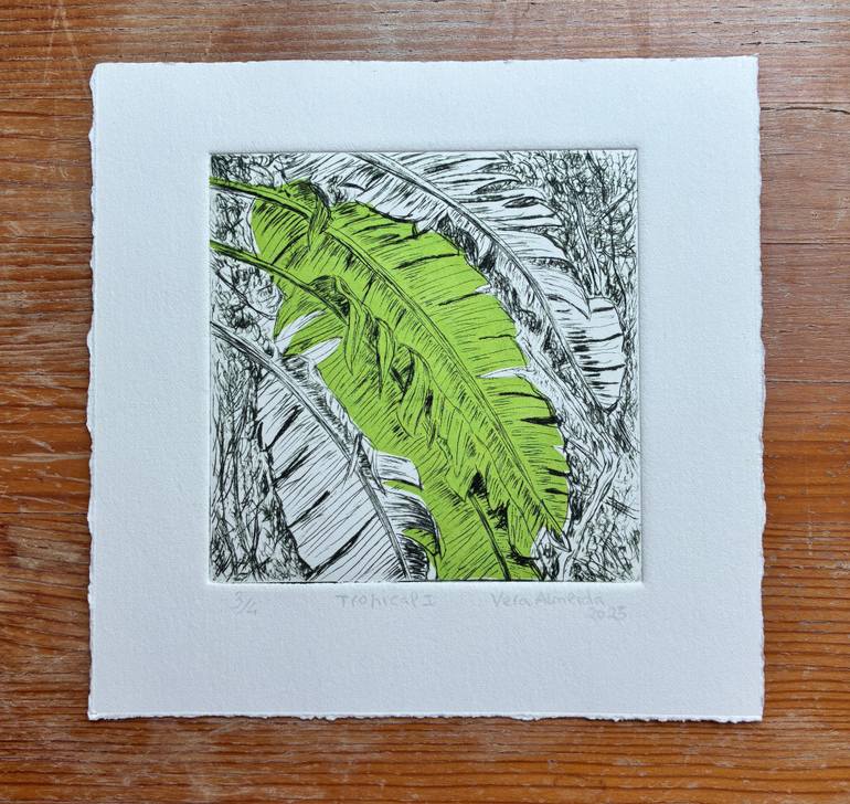 Original Contemporary Botanic Printmaking by Vera Almeida