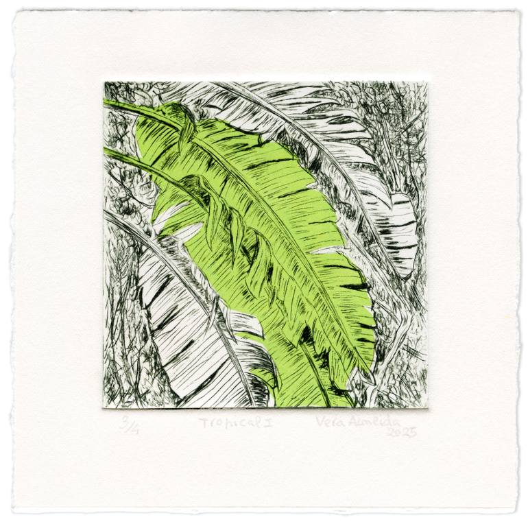 Original Contemporary Botanic Printmaking by Vera Almeida