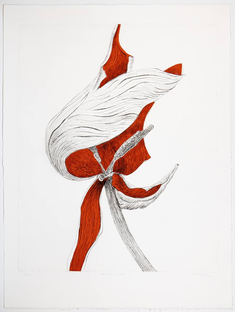 Original Figurative Nature Printmaking by Vera Almeida