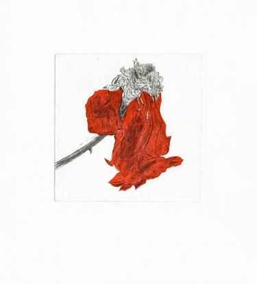 Decay VI, Red Rose Flower - Limited Edition of 10 thumb