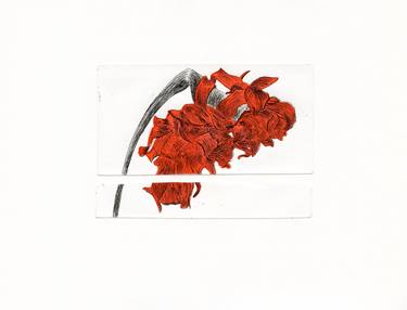 Original Floral Printmaking by Vera Almeida