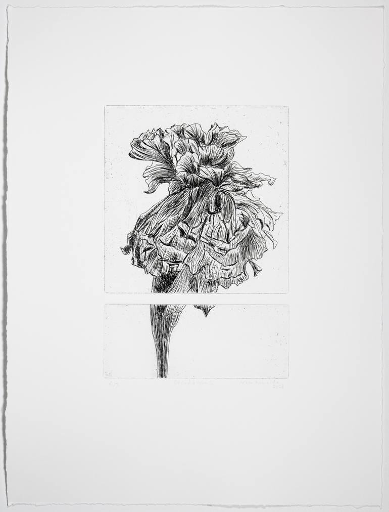 Original Nature Printmaking by Vera Almeida