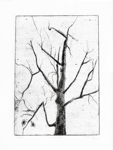 Original Conceptual Tree Printmaking by Vera Almeida