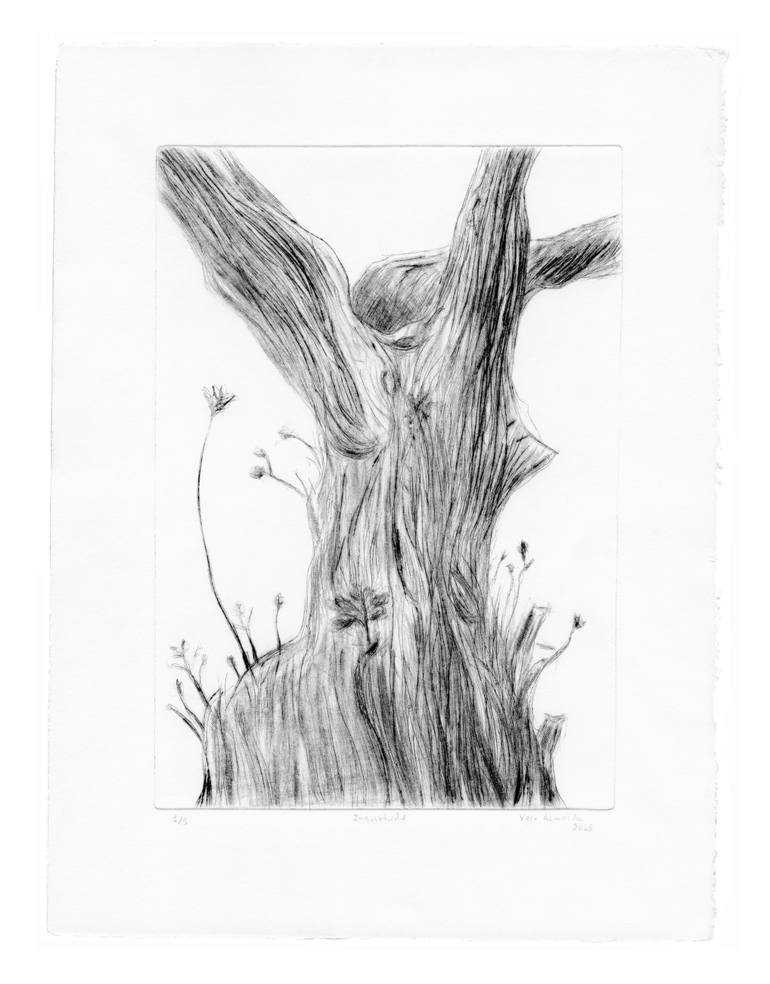 Original Conceptual Nature Printmaking by Vera Almeida