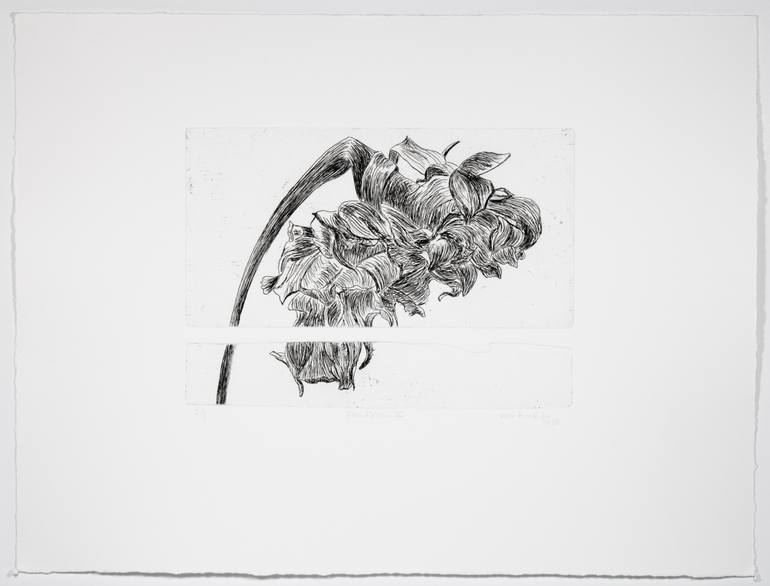 Original Conceptual Nature Printmaking by Vera Almeida