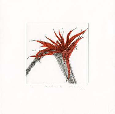 Decay XI, Red Bird of Paradise - Limited Edition of 4 thumb