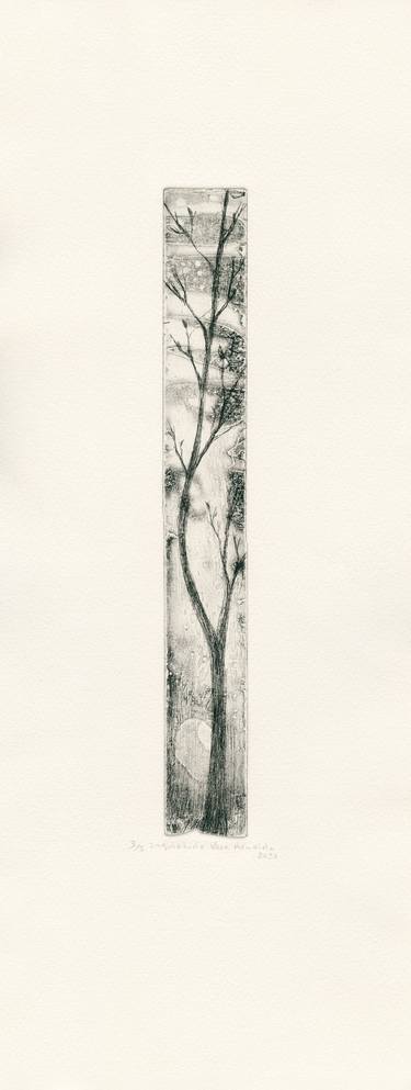 Original Conceptual Botanic Printmaking by Vera Almeida