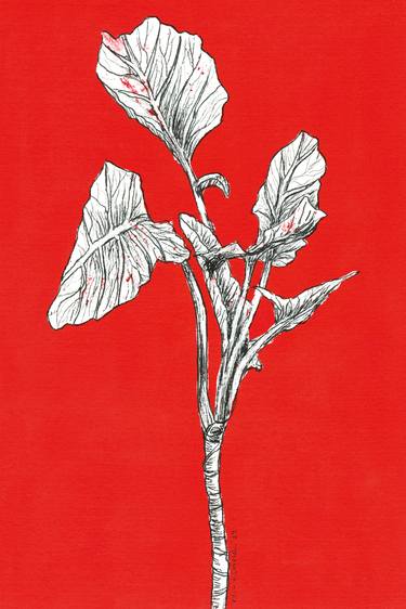 Print of Botanic Drawings by Vera Almeida