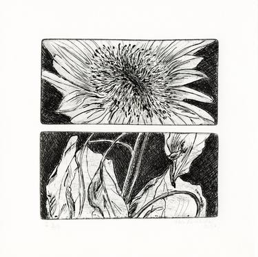 Sunflower, Head and Leaves - Limited Edition of 6 thumb