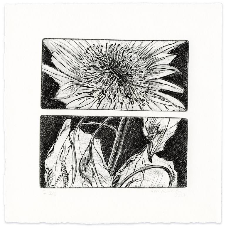 Original Conceptual Botanic Printmaking by Vera Almeida