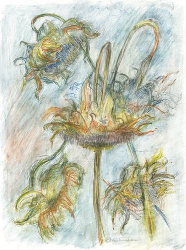 Original Conceptual Floral Drawings by Vera Almeida
