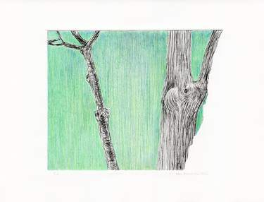 Original Conceptual Tree Drawings by Vera Almeida