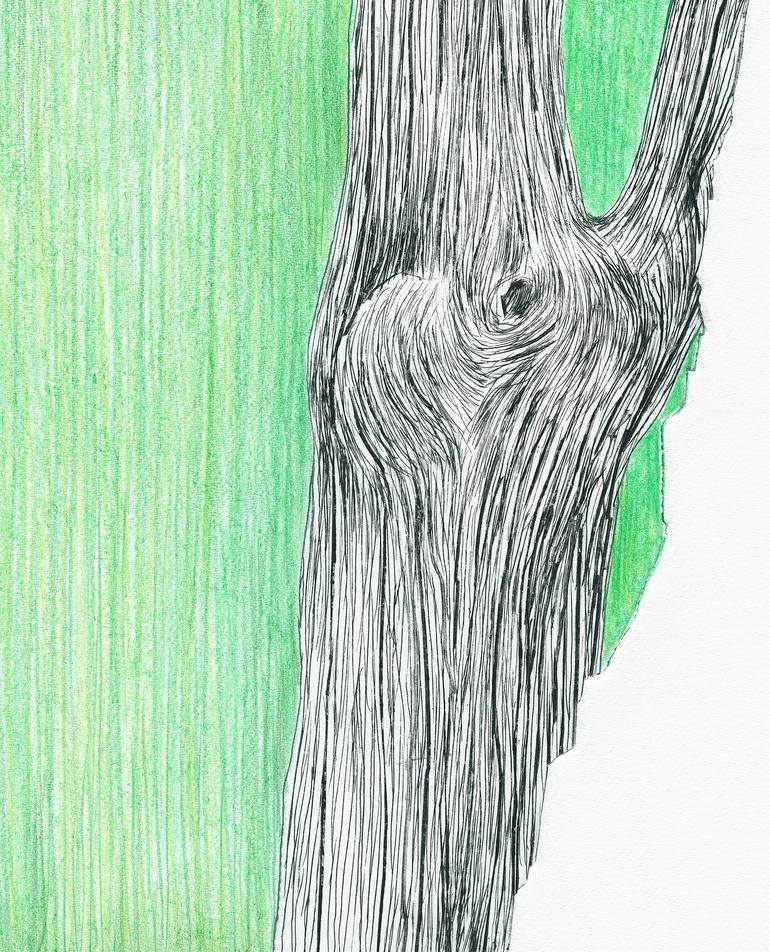 Original Tree Drawing by Vera Almeida