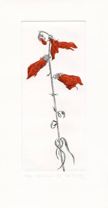 Original Conceptual Floral Printmaking by Vera Almeida