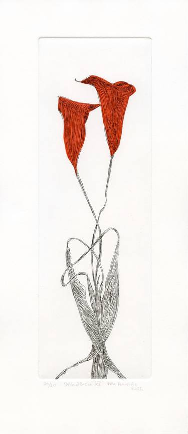 Original Conceptual Floral Printmaking by Vera Almeida