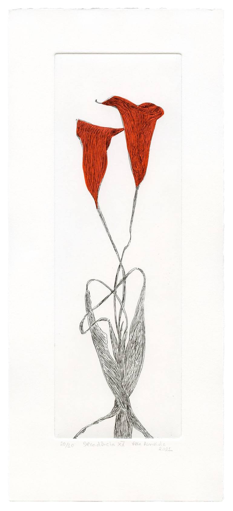 Original Conceptual Floral Printmaking by Vera Almeida