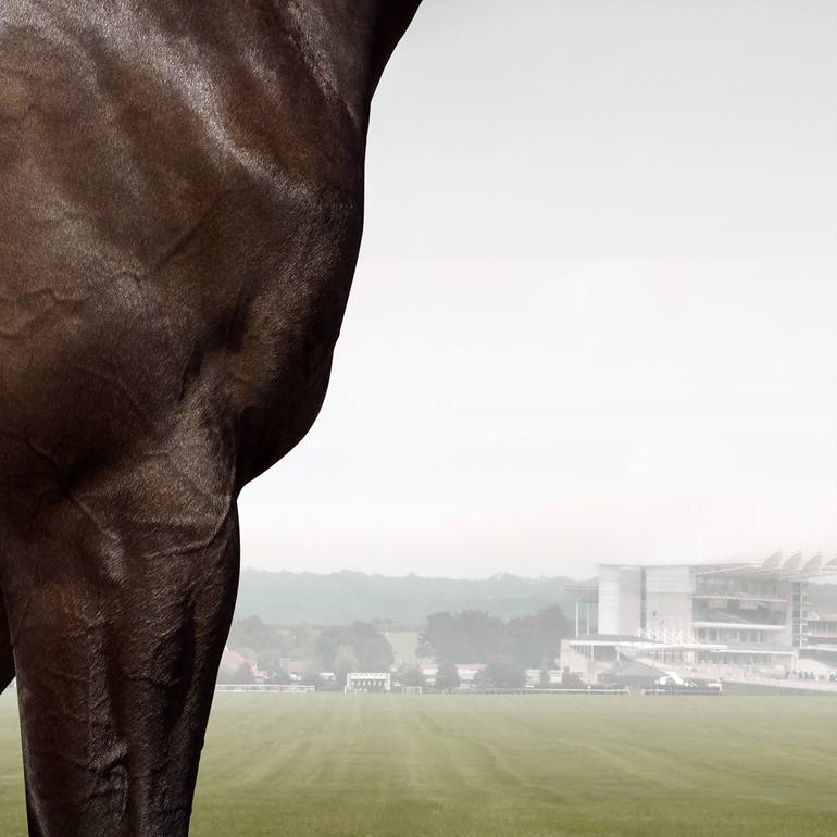 Original Conceptual Animal Photography by R Ripley