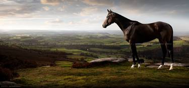 'Racehorse in an English Landscape' - Limited Edition of 11 thumb