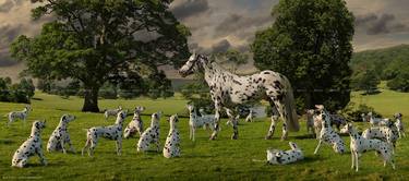 'Leopard Spotted Horse with Dalmatians in a Landscape' - Limited Edition of 11 thumb