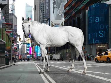 "Racehorse in Times Square, New York' - Limited Edition of 11 thumb