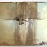 There are Angels & Insects I by Francesca Schwartz
