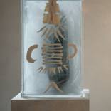 Collection Women to Watch - The Other Art Fair Brooklyn