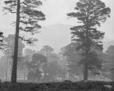 Print of Impressionism Landscape Photography by Harm Van de Poel