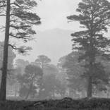 Winter near Ben Macdui (small) - Limited Edition of 10 by Harm Van de Poel