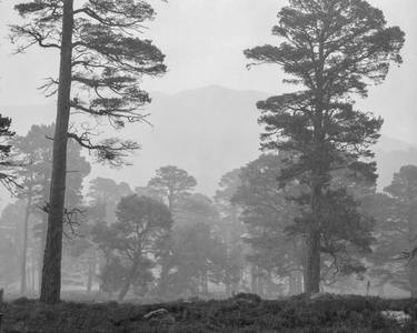 Winter near Ben Macdui (small) - Limited Edition of 10 thumb