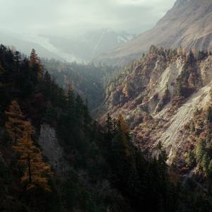Lama Hotel Valley - Limited Edition of 10
