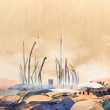 Collection Desert Landscapes