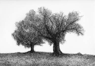 Print of Modern Tree Drawings by Canovu Jaime