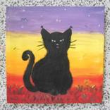 Collection PUSSYCATS