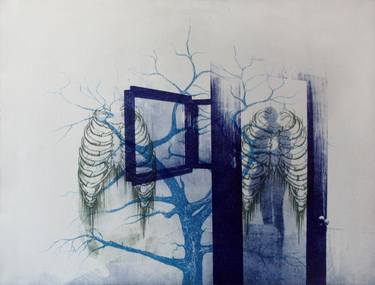 Original Figurative Nature Printmaking by Joshua Singer