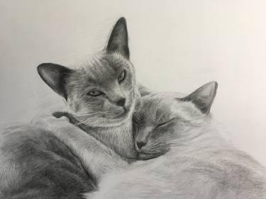 Original Realism Animal Drawings by Christopher LoPresti