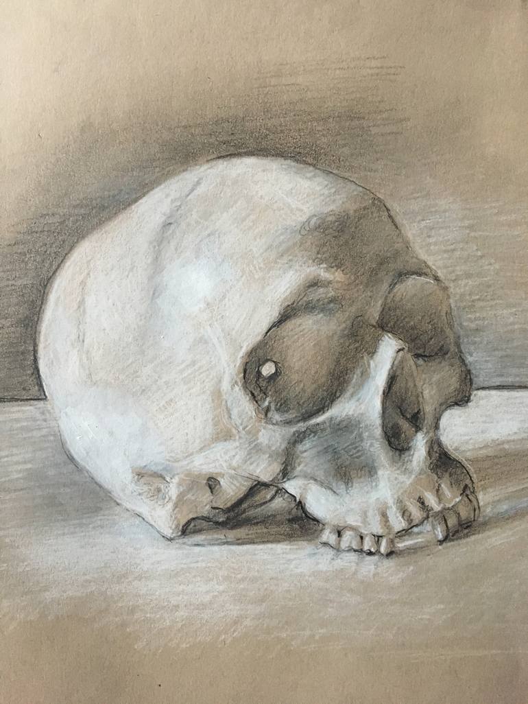 Time Skull Charcoal Drawing, Human Skull Drawing for Sale