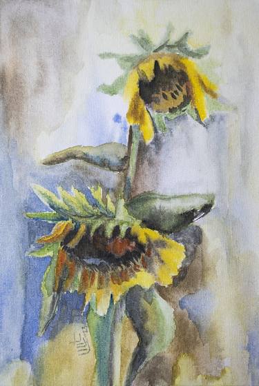 2 Sunflowers thumb