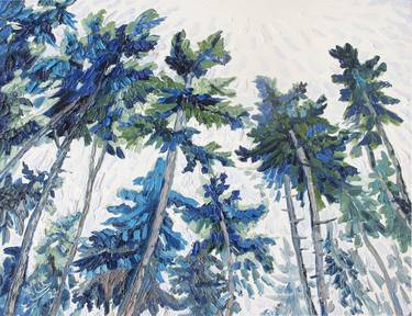 Blue Pine Trees thumb