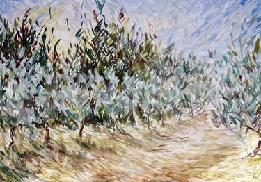 Olive Trees + Pines + Wind thumb