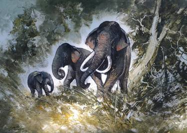 Original Animal Paintings by Aryawansa Perera