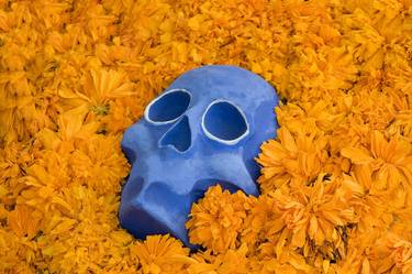 “Blue skull resting on marigold flowers” 2008 Mexico City thumb