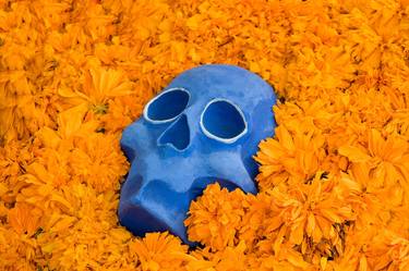 “Blue skull resting on marigold flowers” 2008, Mexico City thumb