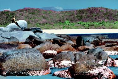 "Discovering paradise"  1973/2020 Bay San Agustín, Oax. thumb