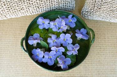 "Blue flowers in a bowl" 2009, P. Zicatela, Pto. Escondido, Oax. thumb