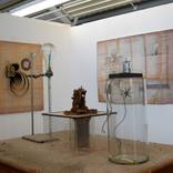 Collection 100 Curators Collection