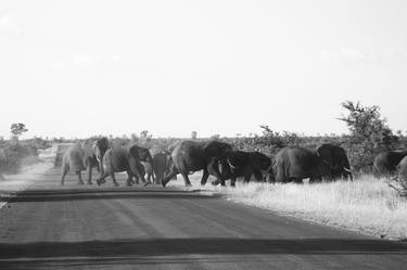 Elephant crossing thumb