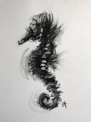 Charcoal Seahorse A4 Sketch thumb