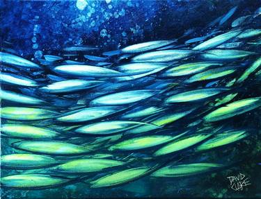 Print of Fish Paintings by David Clare